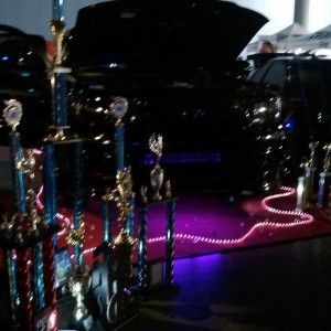 hin 2010