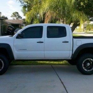 taco281