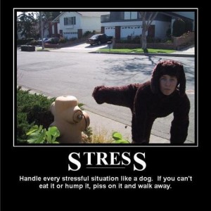 stress