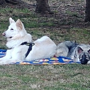 Bro & Sis