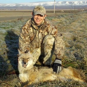 2011_coyote