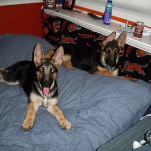 baby adrian and baby rocky