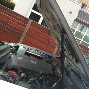 Red Tuning Hood Struts