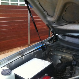 Red Tuning Hood Struts