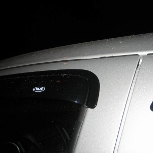 Driver side rainguards