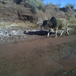 IMG00026-20110105-1100
