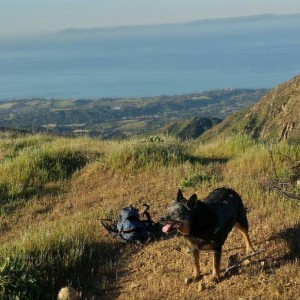 The difficult portion of a 10 miler complete :cheers: