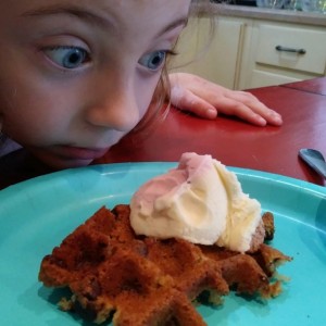 Blondie vs waffle iron