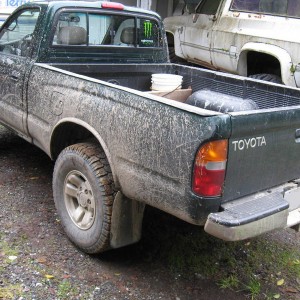 muddy2