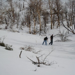 bigbear snow run 01/08/10