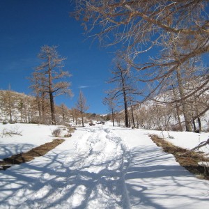 bigbear snow run 01/08/10