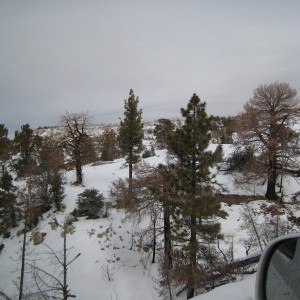 bigbear snow run 01/08/10