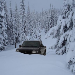 snow19