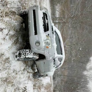 IMG_20110110_085022