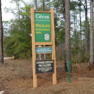 Citrus WMA