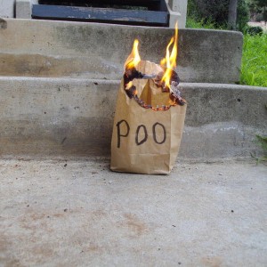 poo