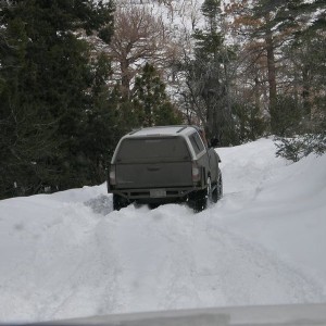 Big Bear 1/8/11