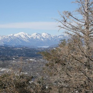 Big Bear 1/8/11