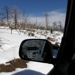 big bear 1/8/11