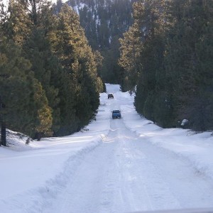 big bear 1/8/11