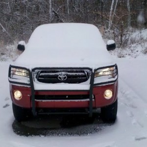 brush_snow