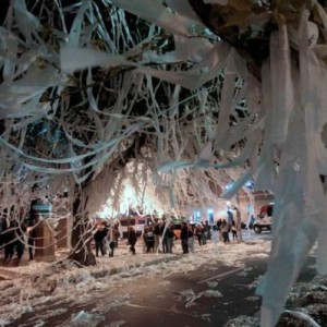 Toomers_1