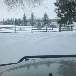2011-01-13_14-11-49_724