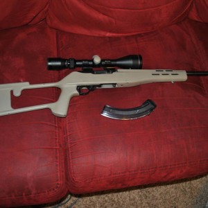 ruger 10/22