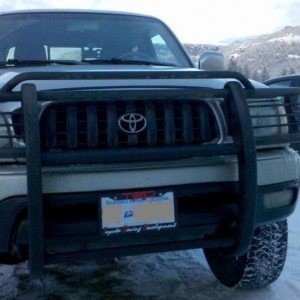 plate_trd