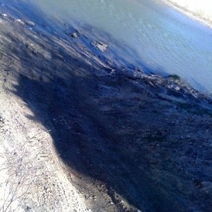 photo230