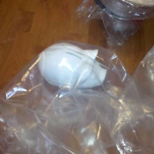 pig_in_bag