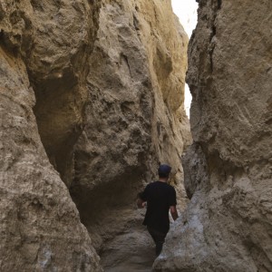 Anza Borrego