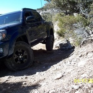 2011 potato ridge