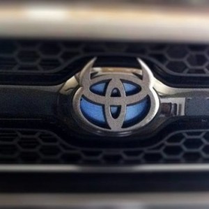 blue behind horns