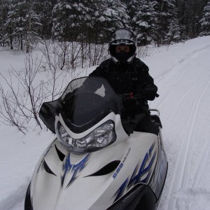 2011 season