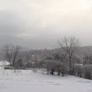 Rt 36 trail vermont hilltop