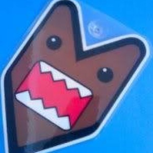 domo-1