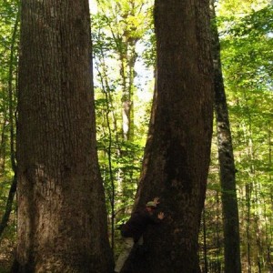 hiking pictures