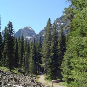 DSC024971