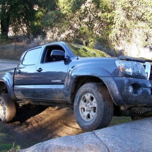 Totally Stock