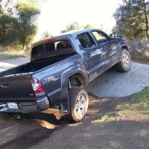 Totally Stock