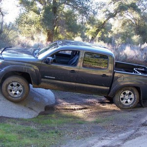 Totally Stock