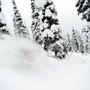 Whistler Blackcomb Skiing