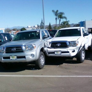 Wrecked Tacomas