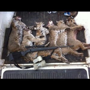 hunting thread