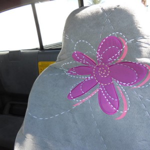 sweet seat covers (haha)