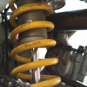 woody build