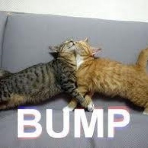 bump5
