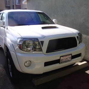 black trex grill