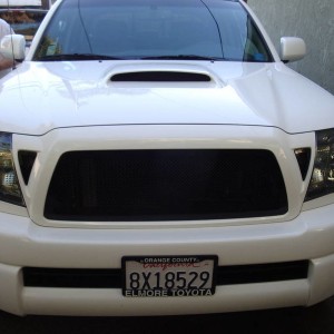 Black T Rex Grilles